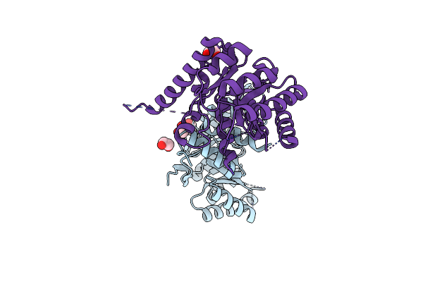 2VP8 image