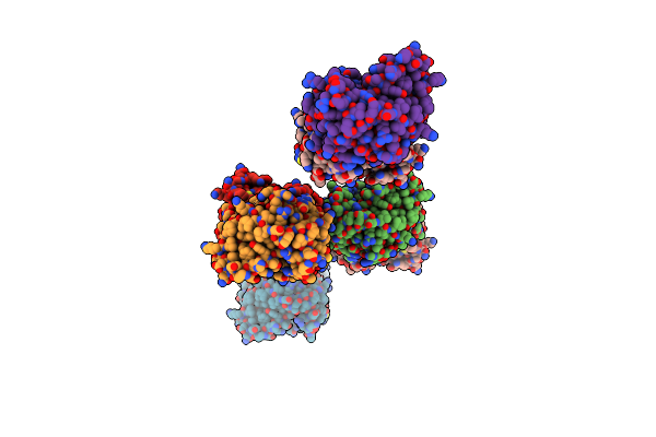 2VP9 image