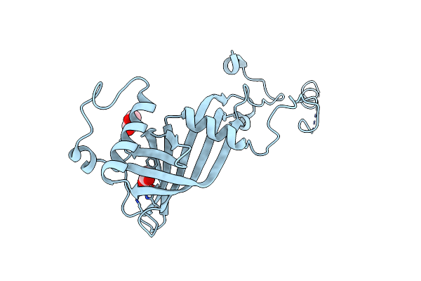 2VPA image