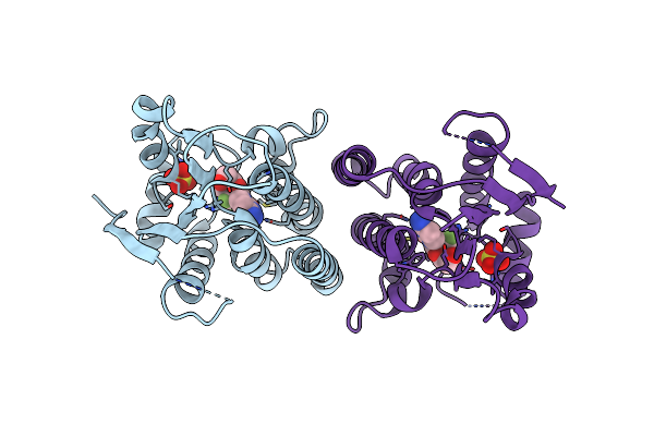 2VPP image