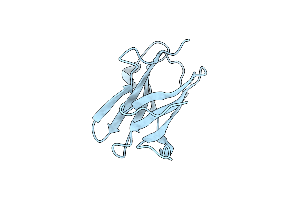 2VQ4 image