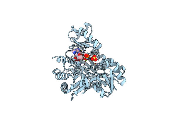 2VQD image