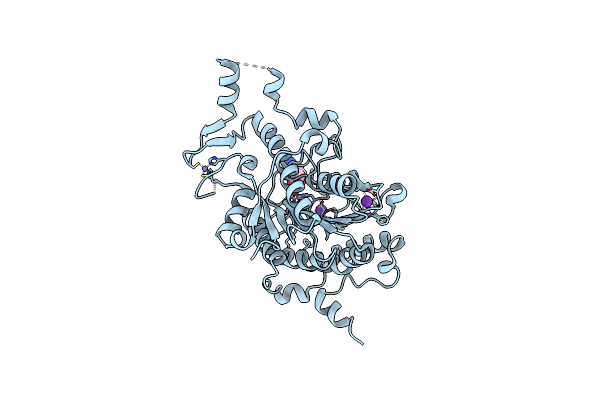 2VQM image