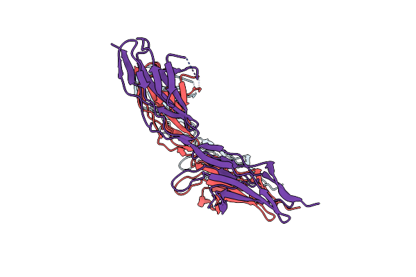 2VR9 image