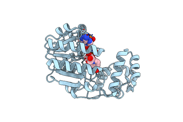2VRB image