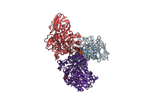 2VRK image