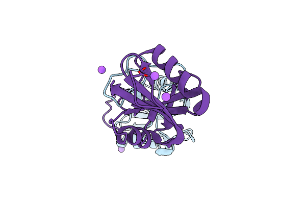 2VRP image