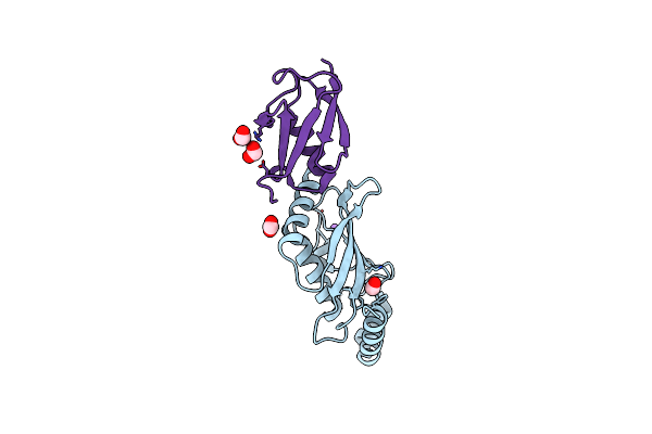 2VRR image