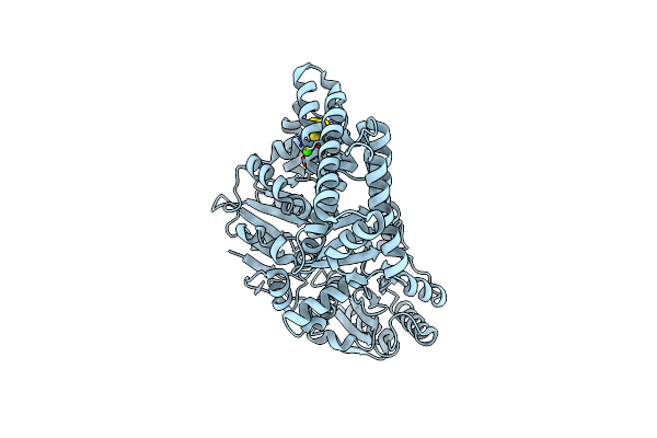 2VSF image