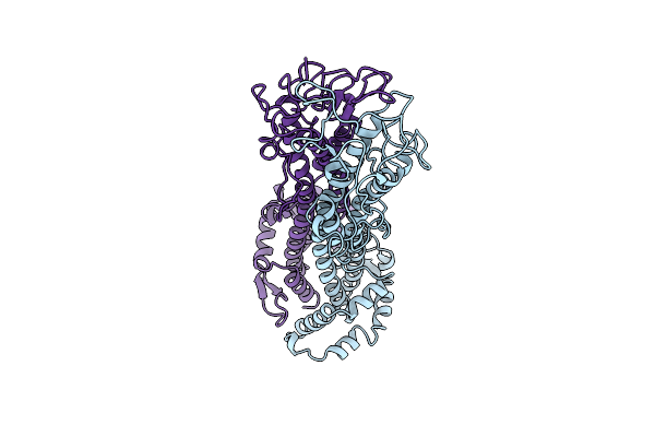 2VSG image