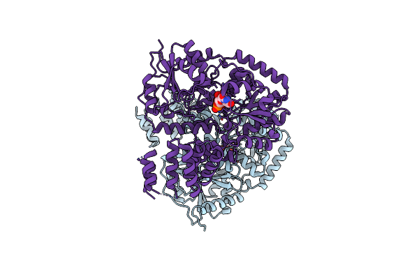 2VSN image