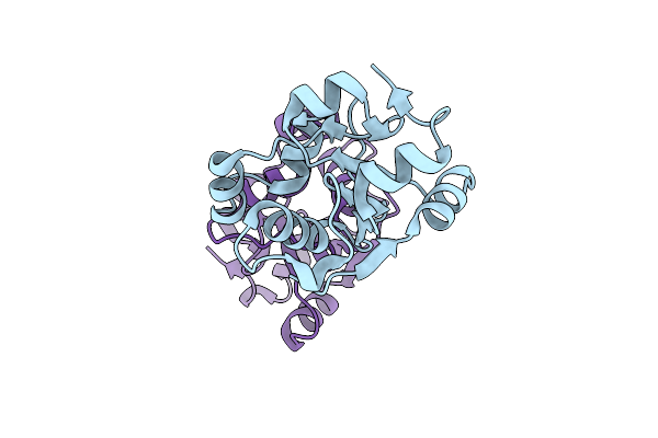 2VSW image