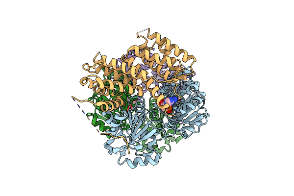 2VSX image