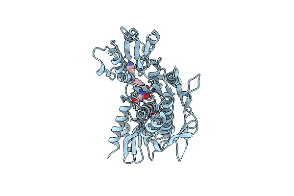 2VTD image