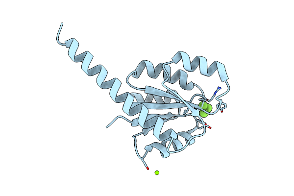 2VUI image