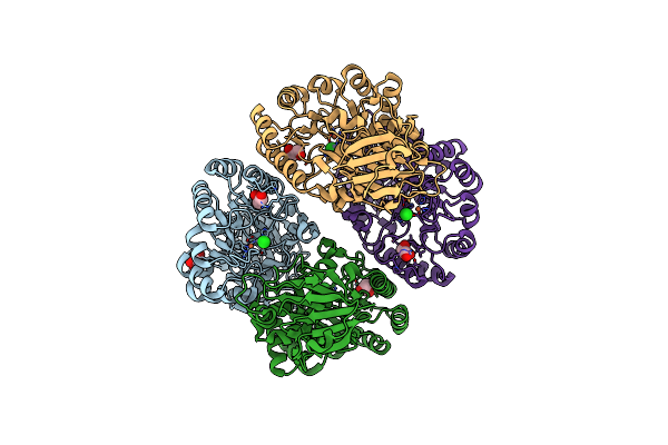 2VUN image
