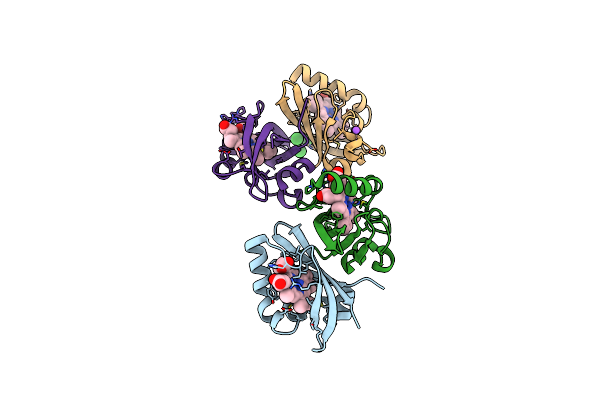 2VV6 image