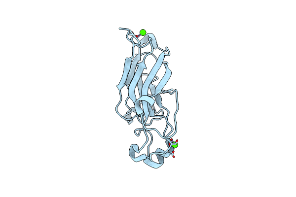 2VVD image