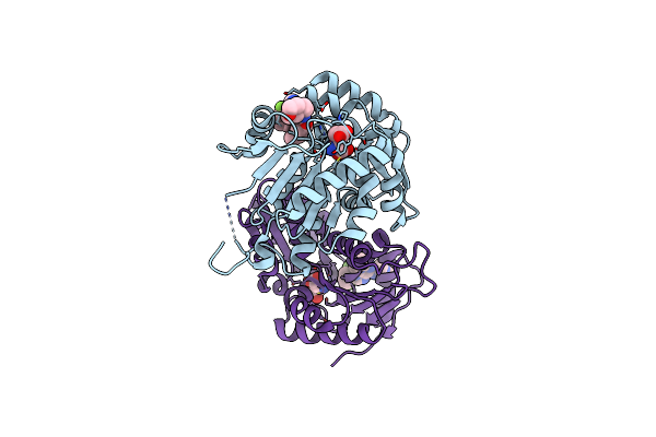 2VVT image