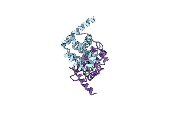 2VVX image