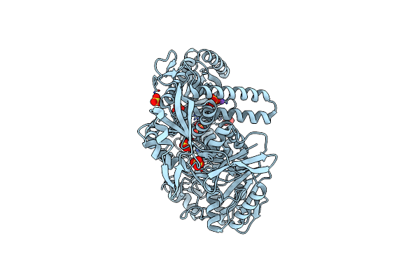 2VWK image