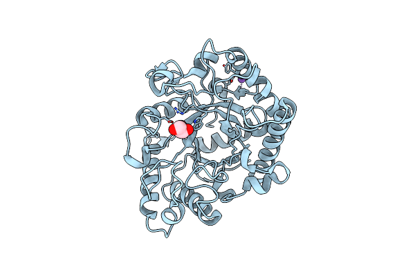 2VX4 image