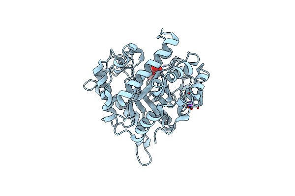 2VX5 image
