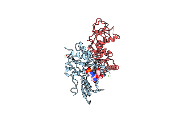 2VXC image