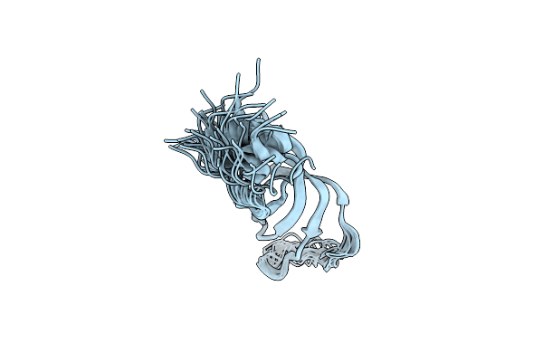 2VXF image