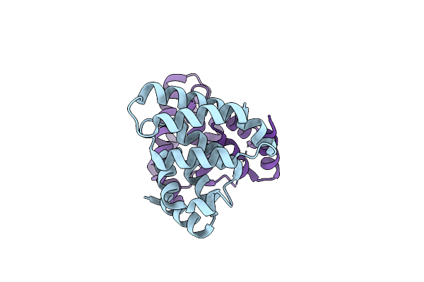 2VXG image