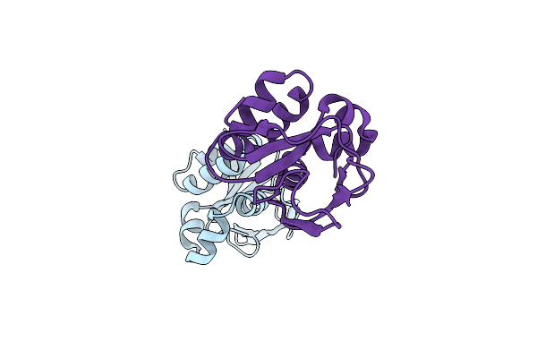 2VXP image
