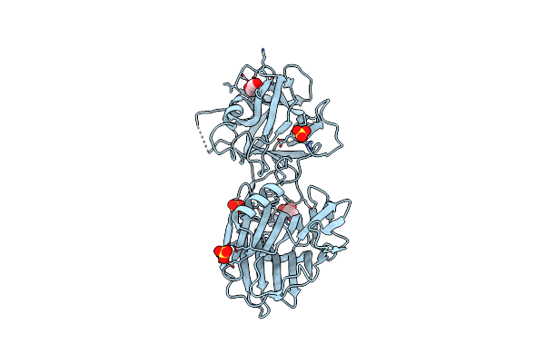 2VXR image