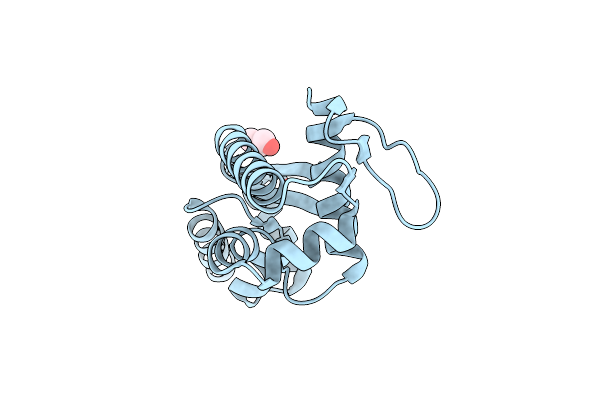 2VXZ image