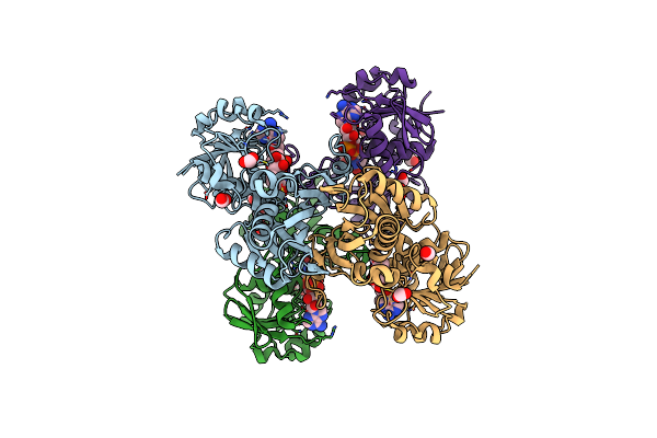 2VYN image