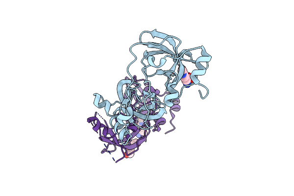 2VYT image