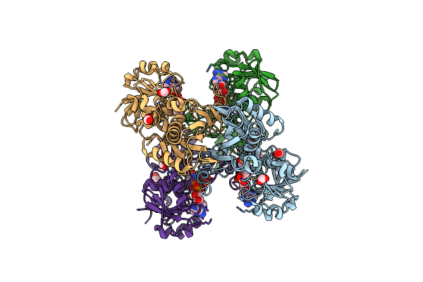 2VYV image