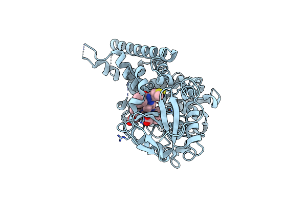 2W09 image