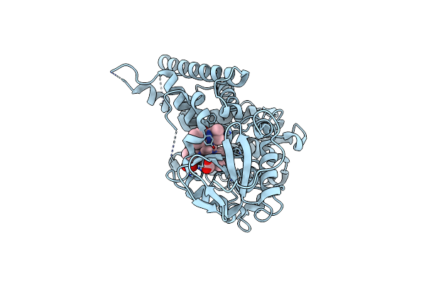 2W0A image