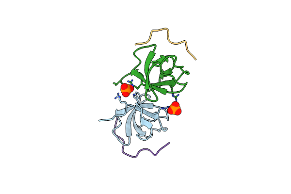 2W10 image