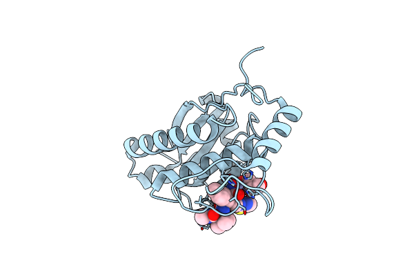2W12 image