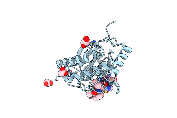 2W13 image