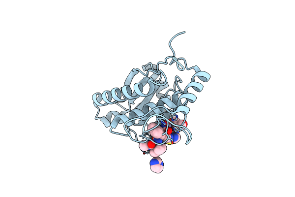 2W14 image