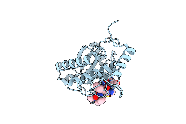 2W15 image
