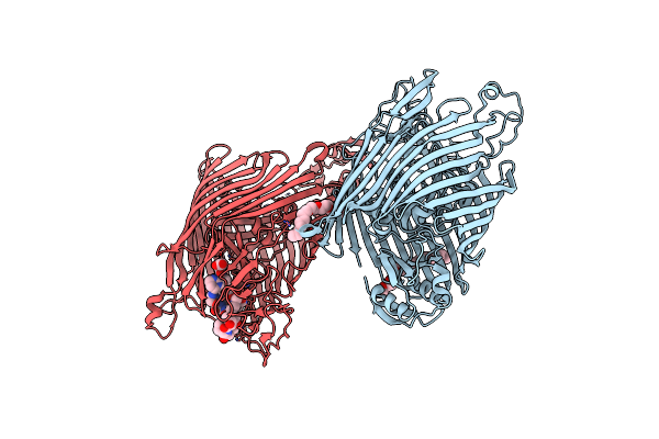2W16 image