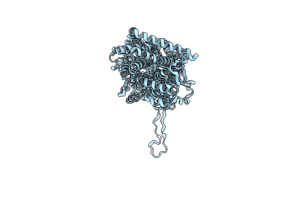 2W1B image