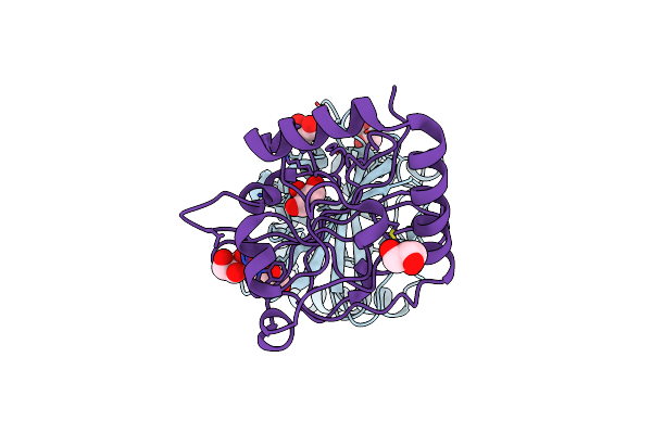 2W1J image