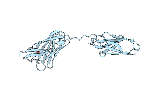 2W1N image