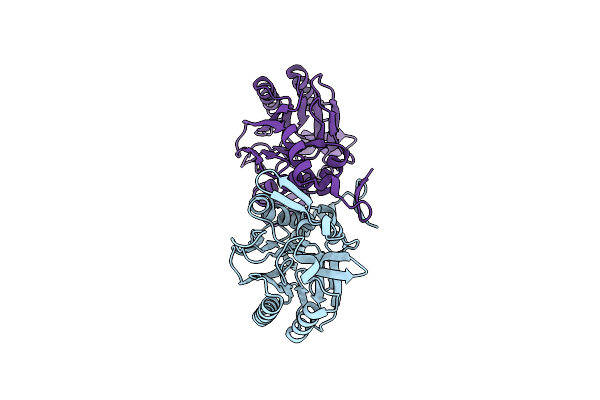 2W1V image