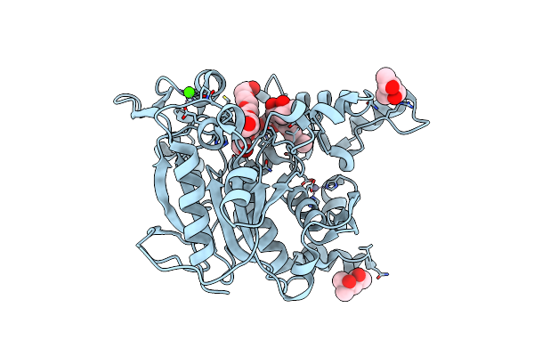 2W22 image