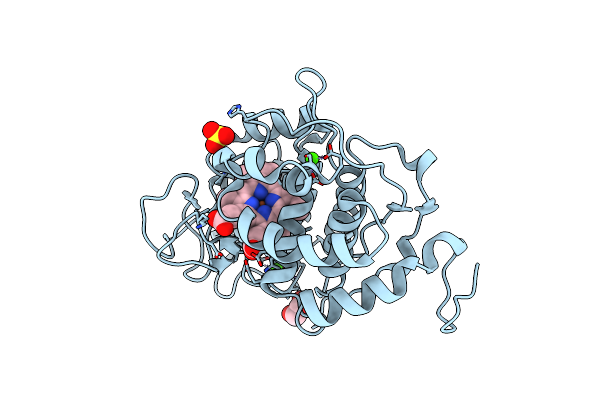 2W23 image